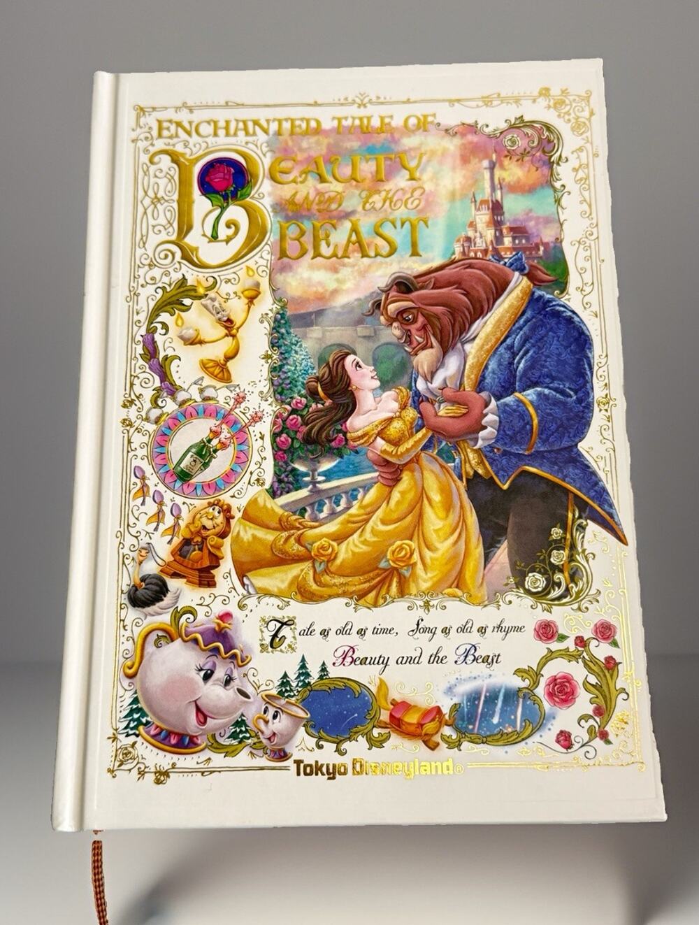 Disneyland Tokyo Beauty And The Beast Journal Notebook NEW Enchanted Tale
